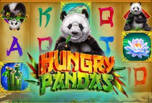 Hungry Pandas