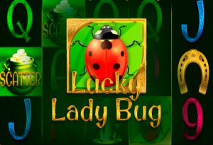 Lucky Lady Bug