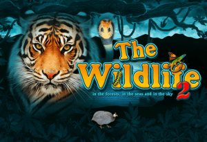 The Wildlife 2