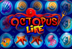 Octopus Life