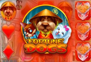 Fortune Dogs