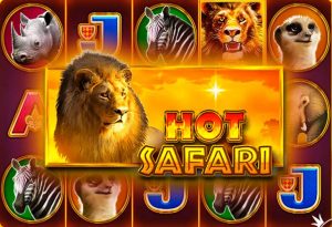 Hot Safari