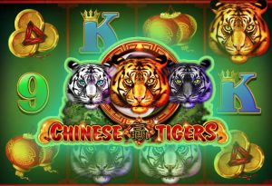 Chinese Tigers