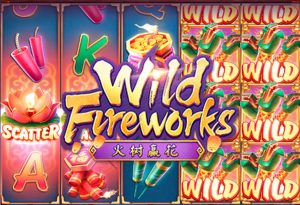 Wild Fireworks