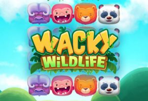 Wacky Wildlife